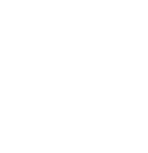 Valiz logo